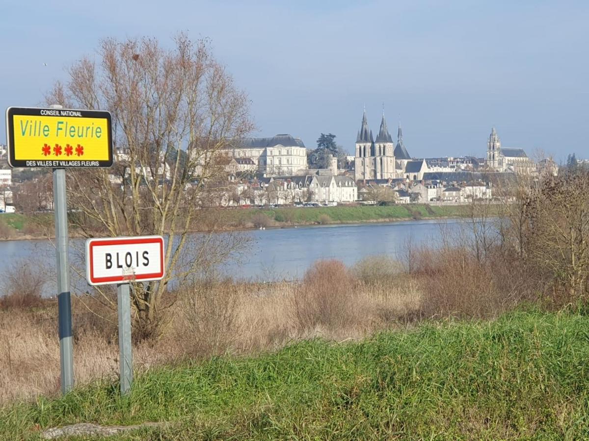 Duplex 60 M2 Bord De Loire Διαμέρισμα Μπλουά Εξωτερικό φωτογραφία