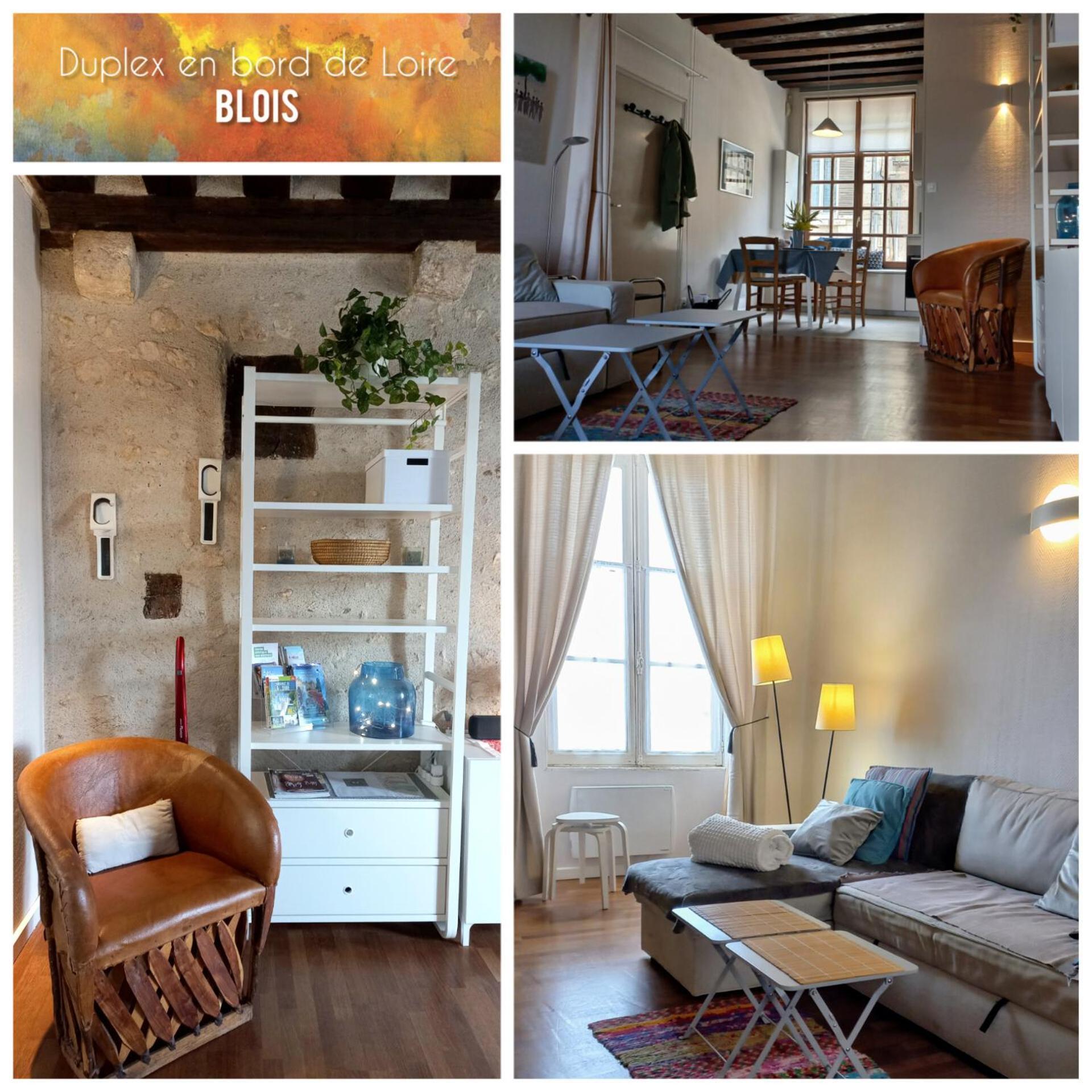 Duplex 60 M2 Bord De Loire Διαμέρισμα Μπλουά Εξωτερικό φωτογραφία